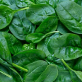 Beybi Ispanak 150 gr /Baby Spinach