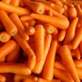 Havuç / Carrots