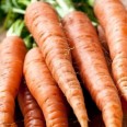 Havuç / Carrots