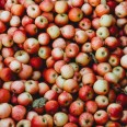 Amasya Elması / Red Native Apple