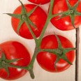 Salkım Domates / Tomatoes native