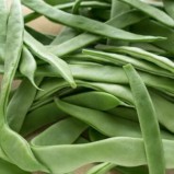 Çalı Fasulye / Fresh Beans