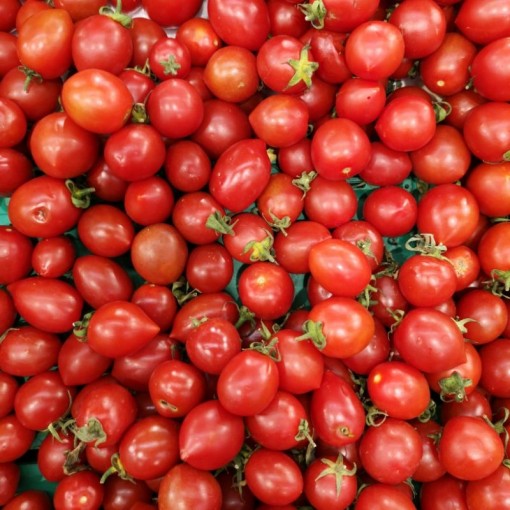 Plum Çeri Domates / Plum Cherry Tomatoes