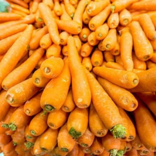 Havuç / Carrots