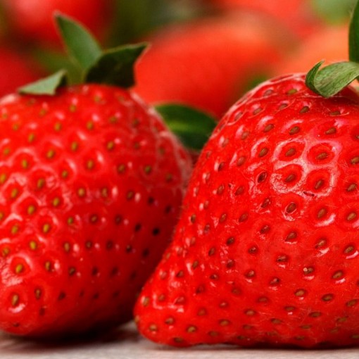 Çilek / Strawberry