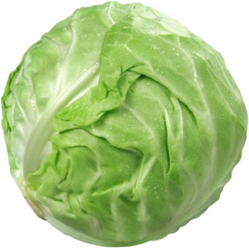 Beyaz Lahana / Cabbage