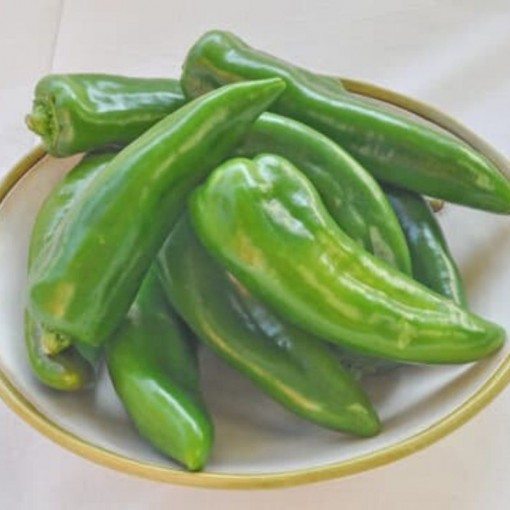 Köy biberi / Native Peppers