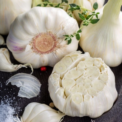 Sarımsak 5'li paket / Garlic