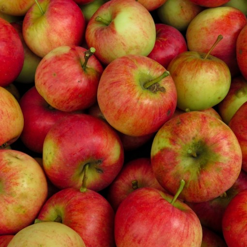 Amasya Elması / Red Native Apple