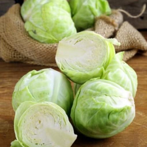 Beyaz Lahana / Cabbage